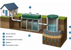 Зорде Рейн 3